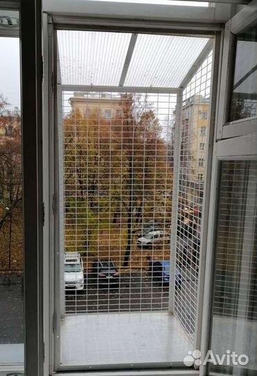 Передержка бездомных кошек