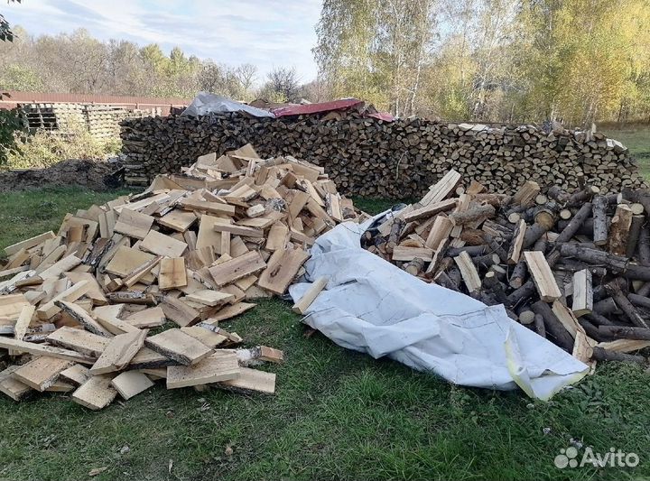 Дрова береза