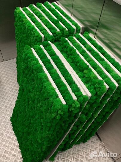 Стабилизированный мох, ягель, кочка, пласт, панно