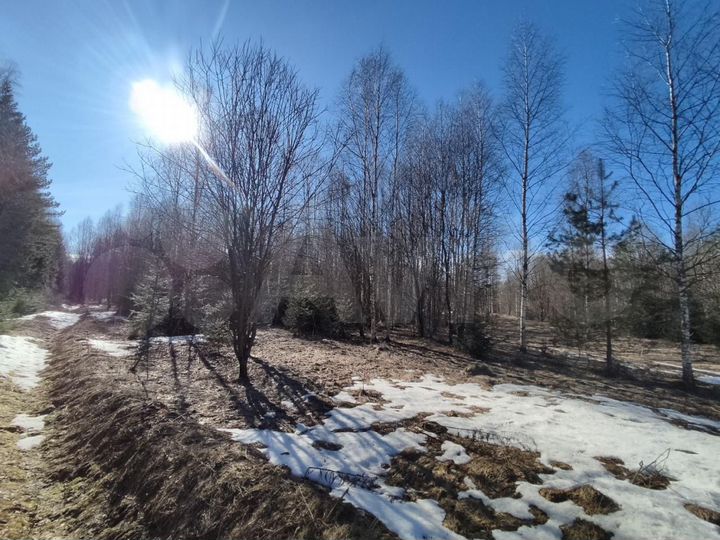 Участок 15 сот. (ИЖС)