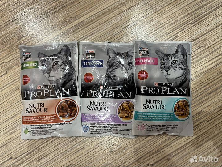 Влажный корм для кошек pro plan