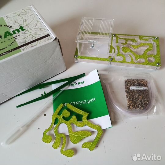 Муравьиная ферма