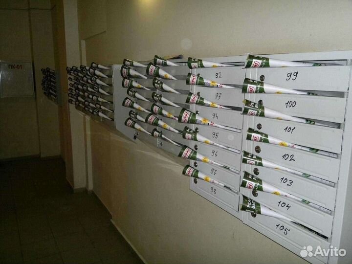 Распространение листовок по почтовым ящикам