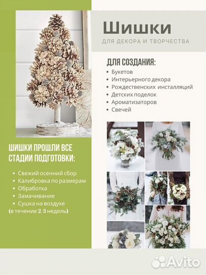 Шишки сосновые