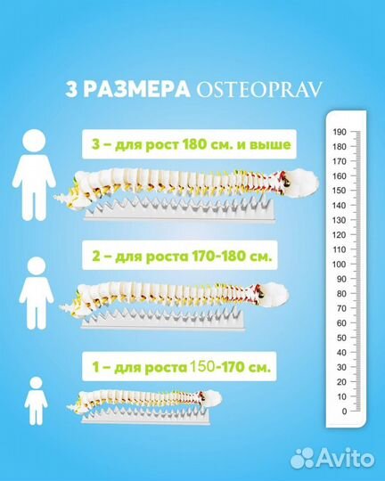 Тренажер - массажер для спины остеоправ osteoprav