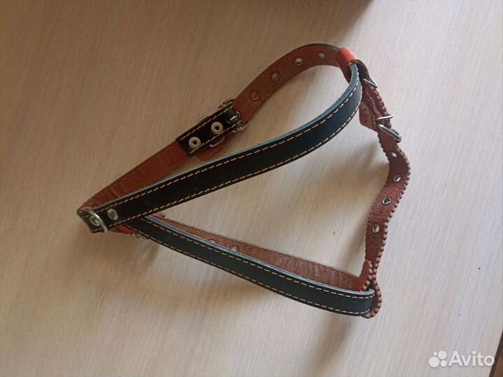 Шлейка для собаки
