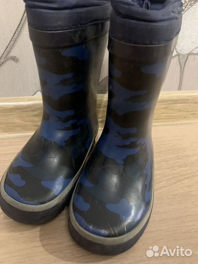 Сапоги barkito