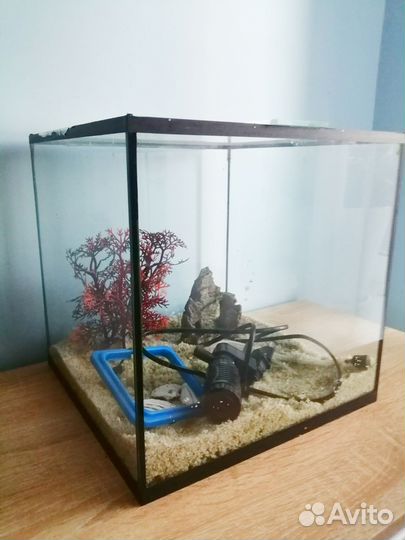 Аквариум 25л в комплекте