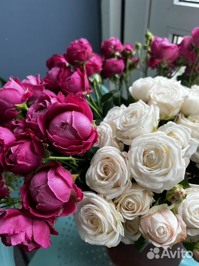 Кустовые розы