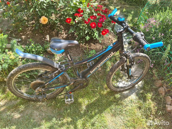 Детский горный велосипед Bergamont Team Junior 20