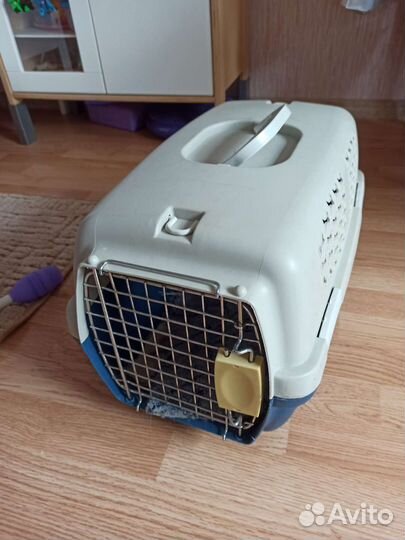 Переноска для кошек аренда