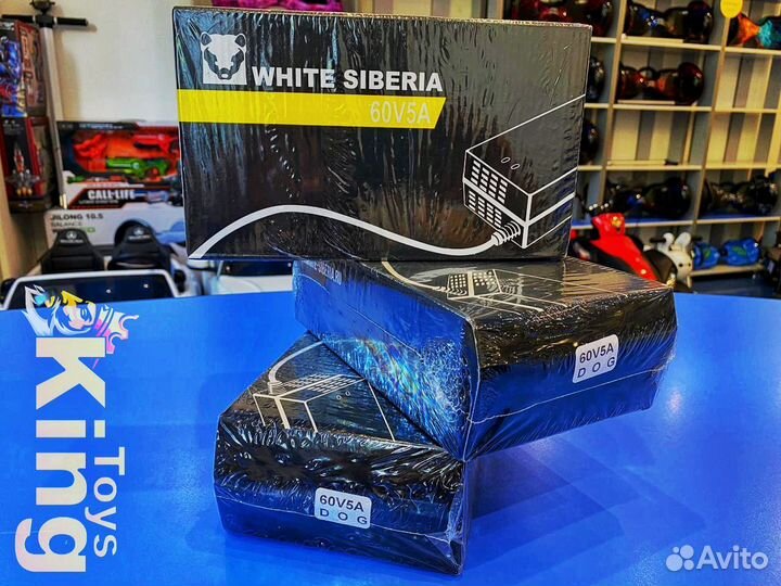 Зарядное устройство WS 60V/5A