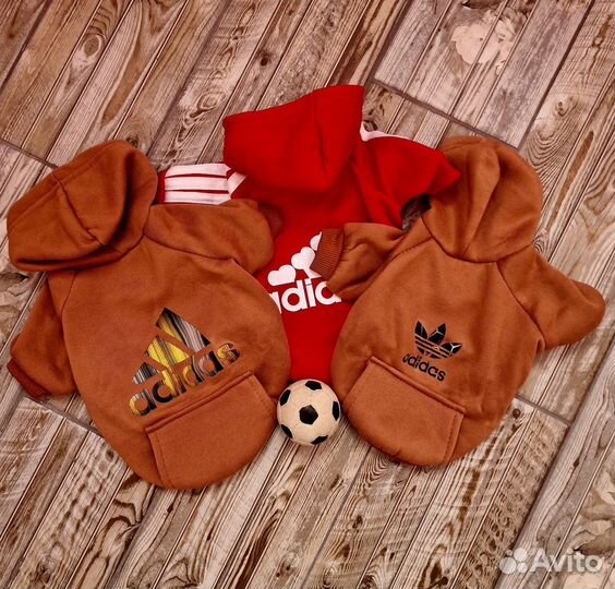 Одежда для маленьких собак