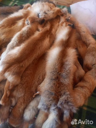 Шкура рыжей лисы