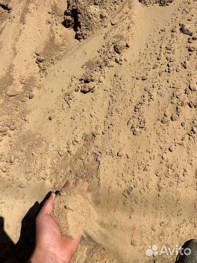 Барханник песок