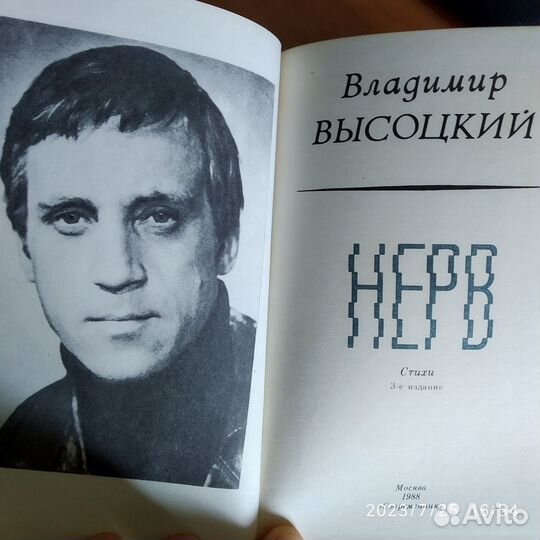 Книга Нерв. Высоцкий В