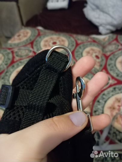 Шлейки И поводки для собак