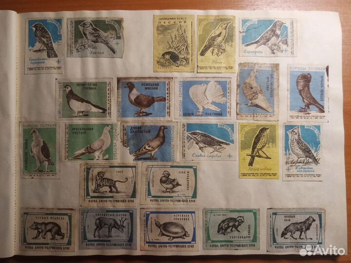 Альбом этикеток спичек. Филумения