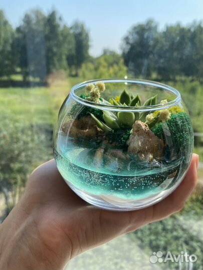 Флорариум Подарок Цветы