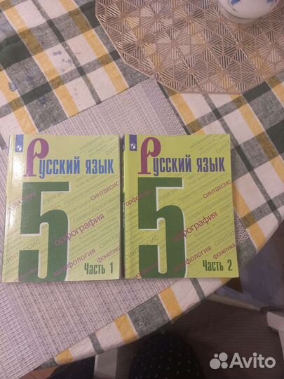 Русский язык 5 класс учебник ладыженская.2 части