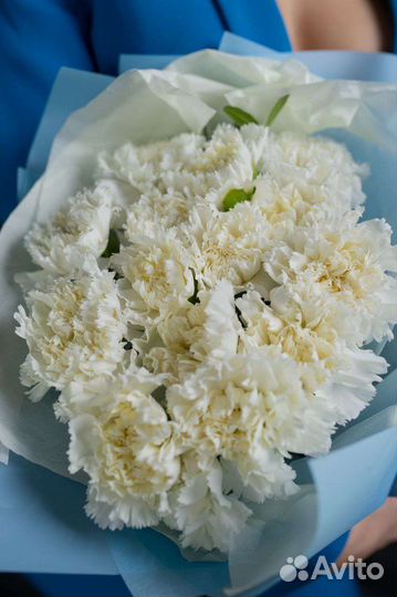 Монобукет с белыми диантусами