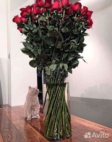 Высокие Высокие розы Гигантские розы Букеты Достав