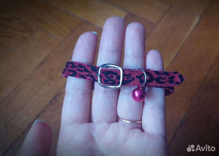 Шлейка, поводок и ошейник для домашних животных