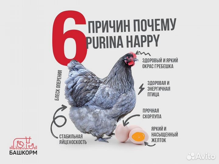 Комбикорм для кур-несушек Purina Happy