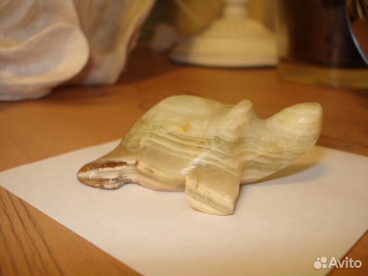 Черепаха оникс