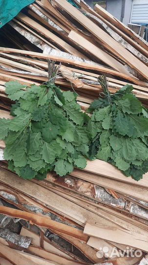 Веники для бани