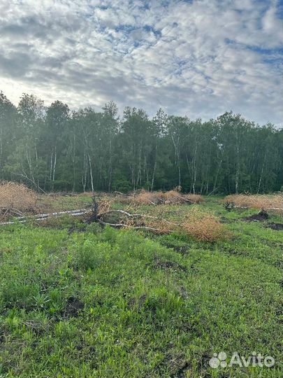 Дрова бесплатно