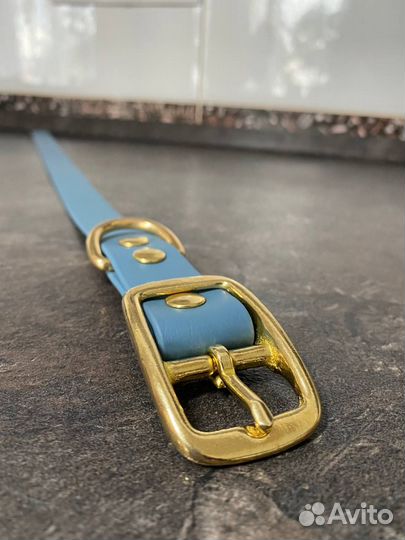 Ошейник и поводок для собак из настоящего биотана