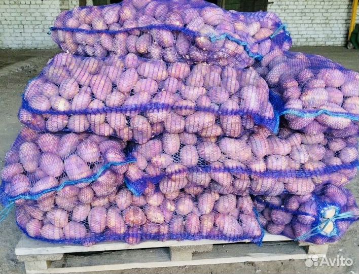 Продам картофель с доставкой