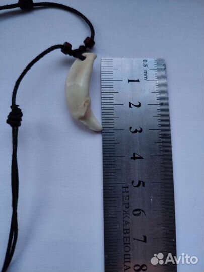 Зуб волка подвеска