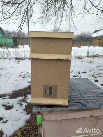 Ящики для пчелопакетов