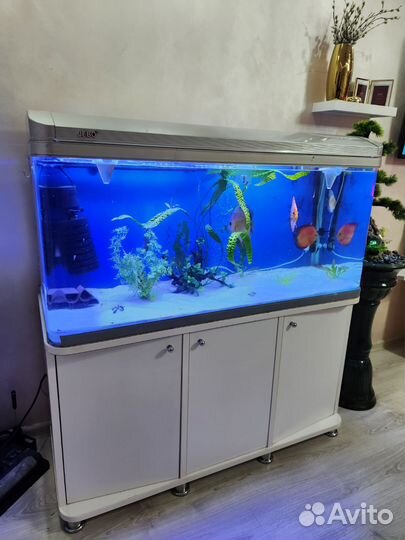 Аквариум с тумбой jebo