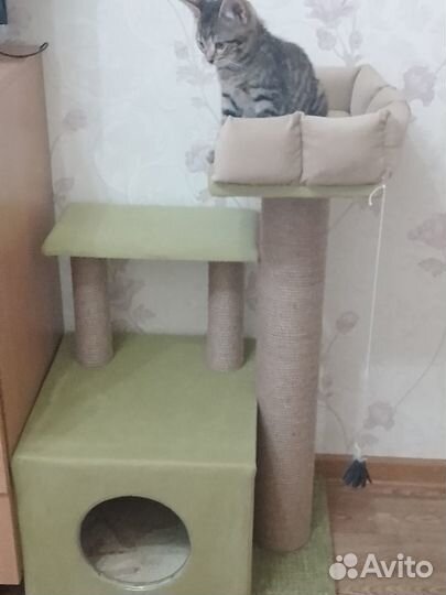 Ремонт когтеточек, перемотка каната