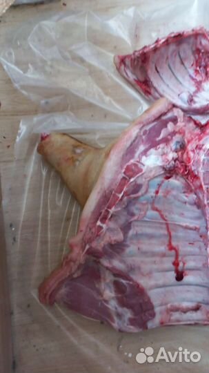 Мясо свинина оптом