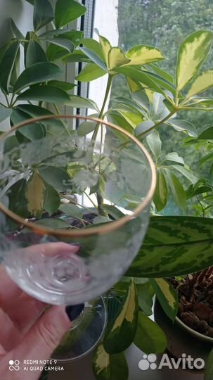 Бокалы для вина богемия