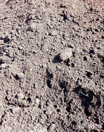 Грунт Плодородный (Земля)