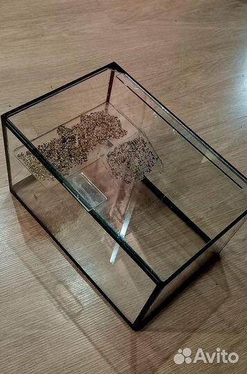 Террариум для черепахи