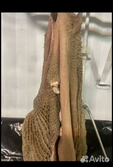 Говяжий мясной микс для собак