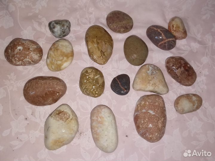 Морские камни с Чёрного моря