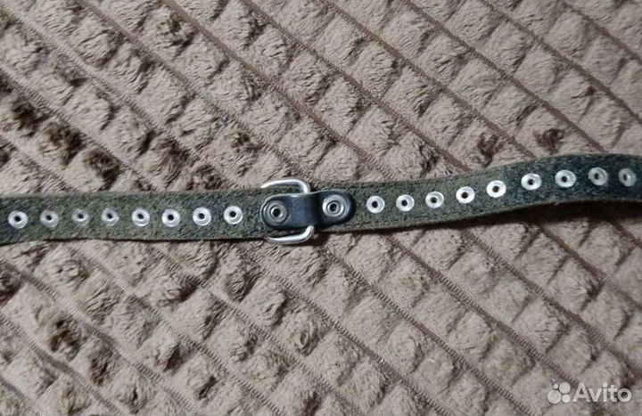 Шлейка и ошейник