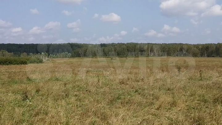 Участок 26 га (СНТ, ДНП)