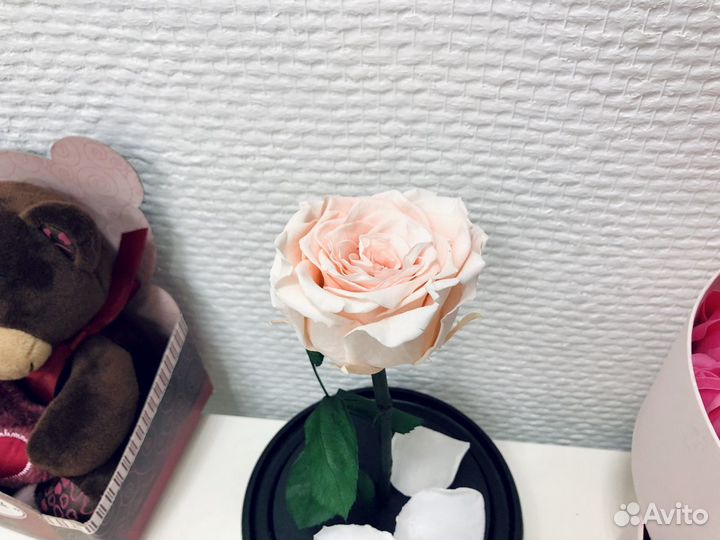 Вечная роза в колбе