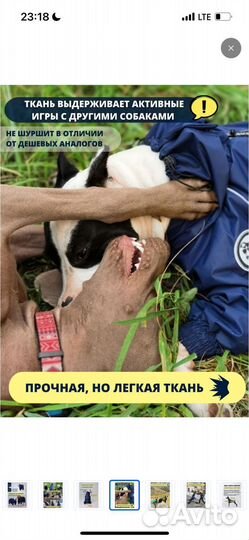 Комбинезон-дождевик для собаки