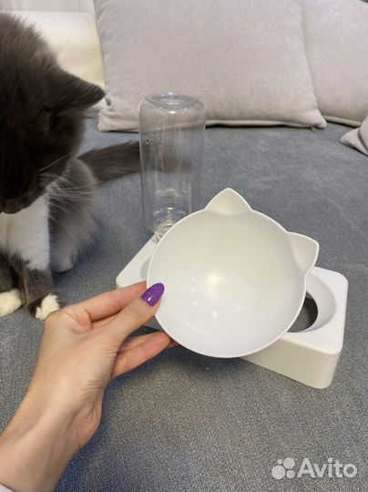 Миска для кошек