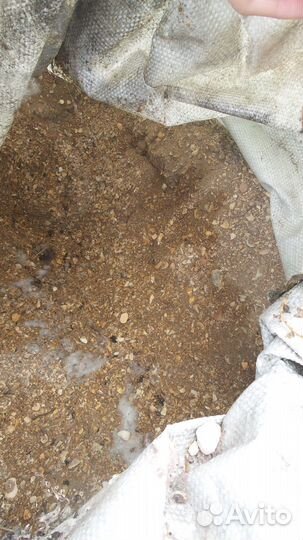 Ракушка кормовая