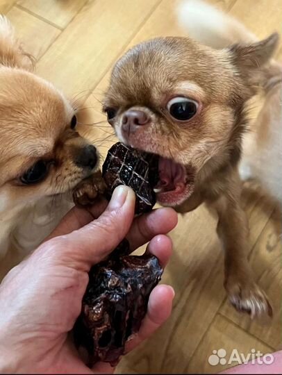 Вкусняшки для собак